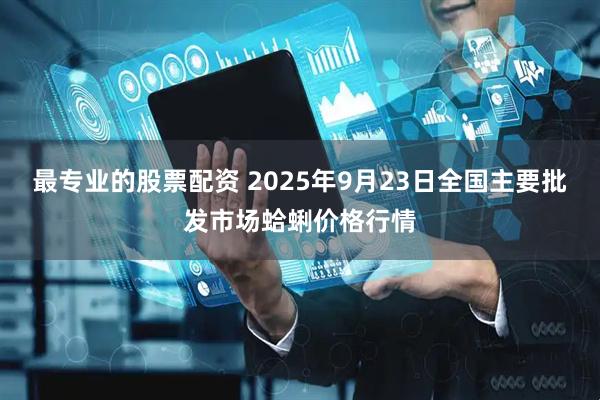最专业的股票配资 2025年9月23日全国主要批发市场蛤蜊价格行情